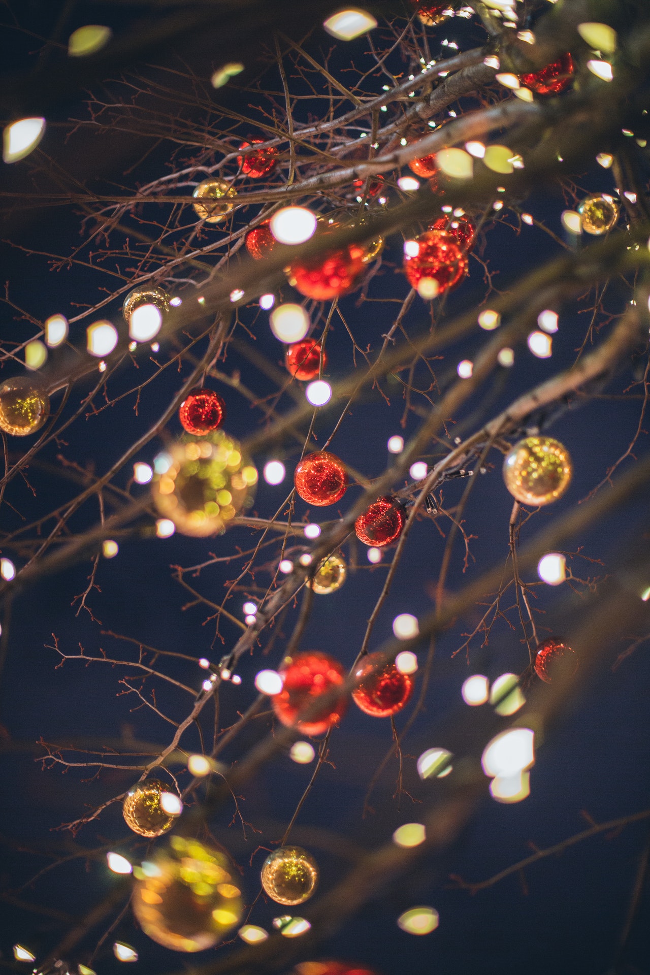 maximise the benefits of your marketing campaign over the festive season